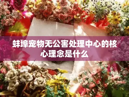 蚌埠宠物无公害处理中心的核心理念是什么