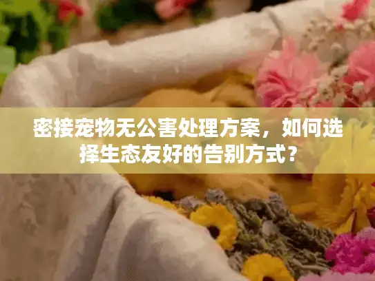 密接宠物无公害处理方案，如何选择生态友好的告别方式？