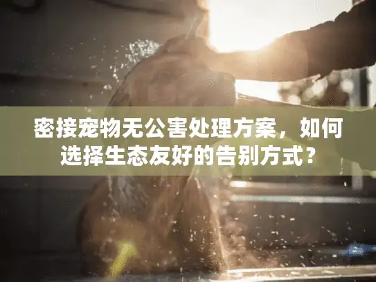 密接宠物无公害处理方案，如何选择生态友好的告别方式？
