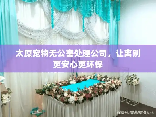 太原宠物无公害处理公司，让离别更安心更环保
