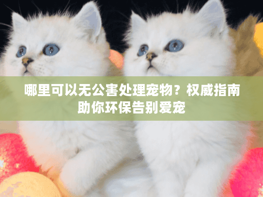 哪里可以无公害处理宠物？权威指南助你环保告别爱宠