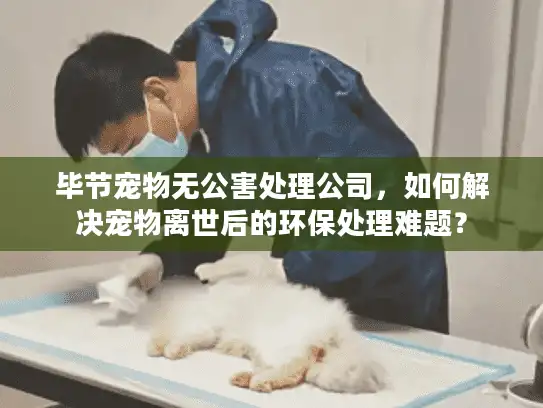 毕节宠物无公害处理公司，如何解决宠物离世后的环保处理难题？