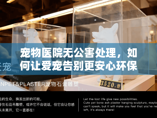 宠物医院无公害处理，如何让爱宠告别更安心环保？