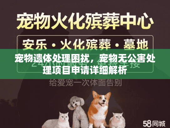 宠物遗体处理困扰，宠物无公害处理项目申请详细解析