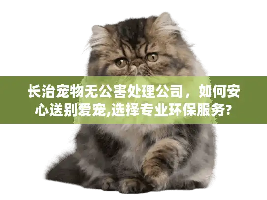 长治宠物无公害处理公司，如何安心送别爱宠,选择专业环保服务?