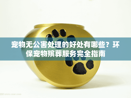 宠物无公害处理的好处有哪些？环保宠物殡葬服务完全指南