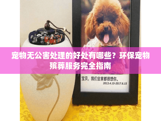 宠物无公害处理的好处有哪些？环保宠物殡葬服务完全指南