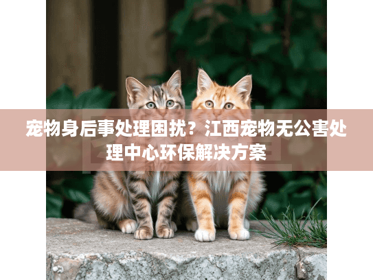 宠物身后事处理困扰？江西宠物无公害处理中心环保解决方案