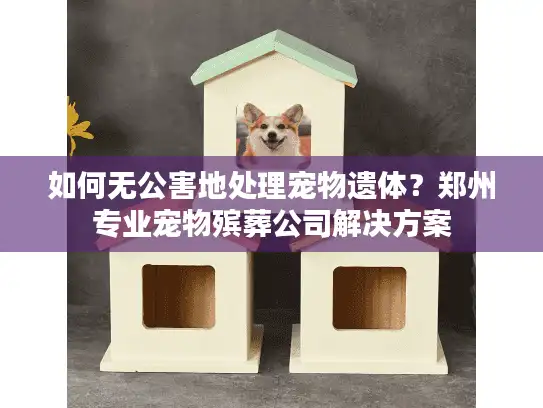 如何无公害地处理宠物遗体？郑州专业宠物殡葬公司解决方案