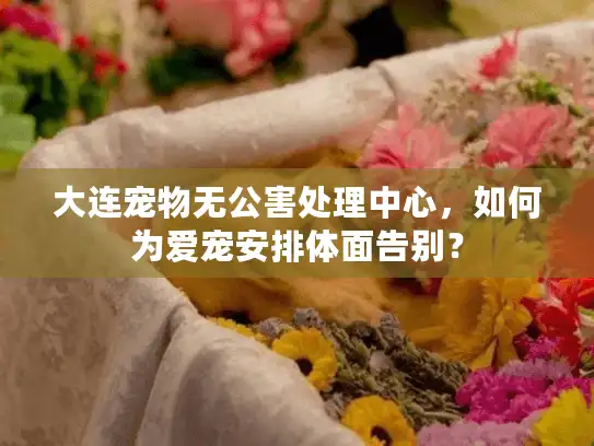 大连宠物无公害处理中心，如何为爱宠安排体面告别？