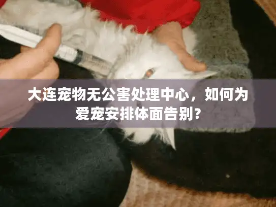 大连宠物无公害处理中心，如何为爱宠安排体面告别？
