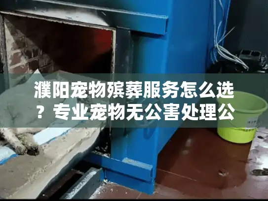 濮阳宠物殡葬服务怎么选?专业宠物无公害处理公司避坑指南 濮阳宠物殡葬服务怎么选?专业宠物无公害处理公司避坑指南