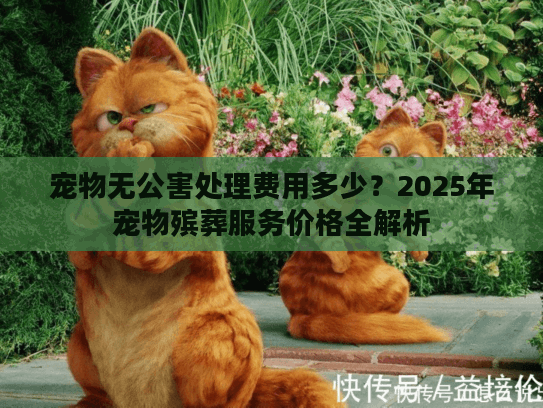 宠物无公害处理费用多少？2025年宠物殡葬服务价格全解析