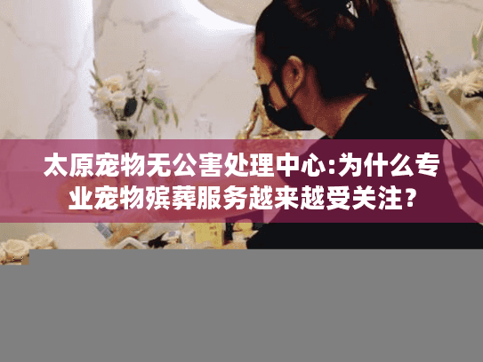 太原宠物无公害处理中心:为什么专业宠物殡葬服务越来越受关注？