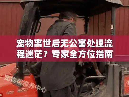 宠物离世后无公害处理流程迷茫？专家全方位指南