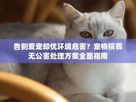 告别爱宠却忧环境危害？宠物殡葬无公害处理方案全面指南