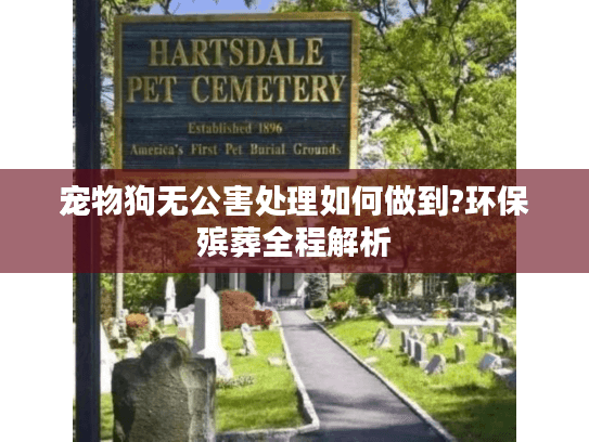 宠物狗无公害处理如何做到?环保殡葬全程解析