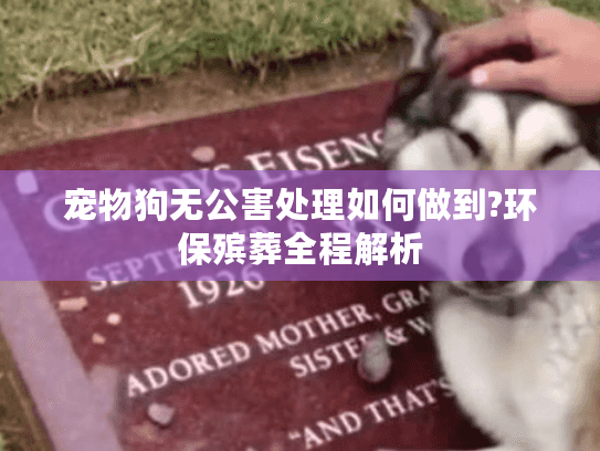 宠物狗无公害处理如何做到?环保殡葬全程解析