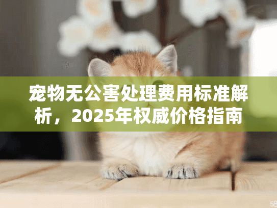 宠物无公害处理费用标准解析，2025年权威价格指南