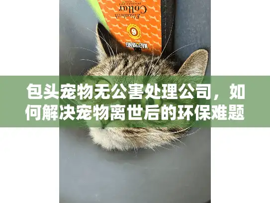 包头宠物无公害处理公司，如何解决宠物离世后的环保难题？