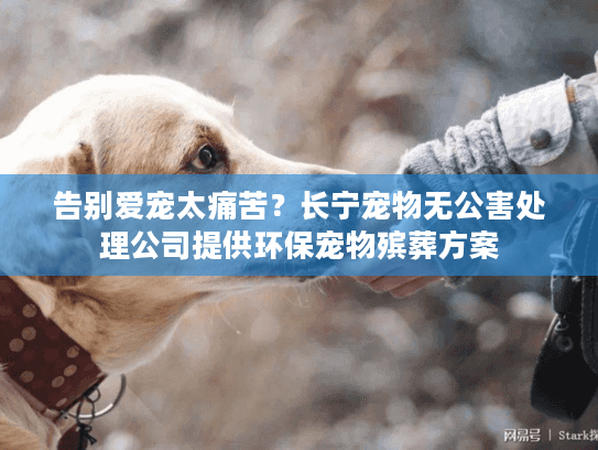 告别爱宠太痛苦？长宁宠物无公害处理公司提供环保宠物殡葬方案