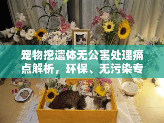 宠物挖遗体无公害处理痛点解析，环保、无污染专业方案揭秘！