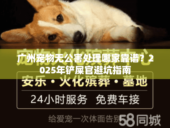 广州宠物无公害处理哪家靠谱？2025年铲屎官避坑指南