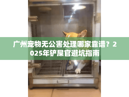 广州宠物无公害处理哪家靠谱？2025年铲屎官避坑指南