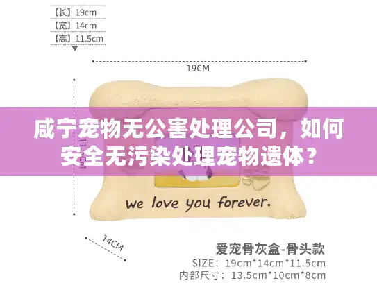 咸宁宠物无公害处理公司，如何安全无污染处理宠物遗体？