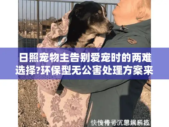 日照宠物主告别爱宠时的两难选择?环保型无公害处理方案来了