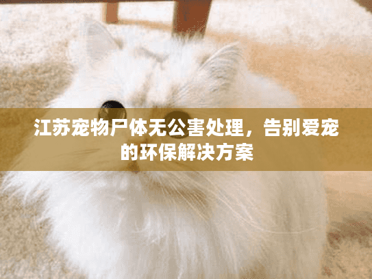 江苏宠物尸体无公害处理，告别爱宠的环保解决方案