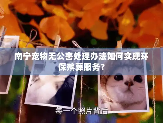 南宁宠物无公害处理办法如何实现环保殡葬服务？