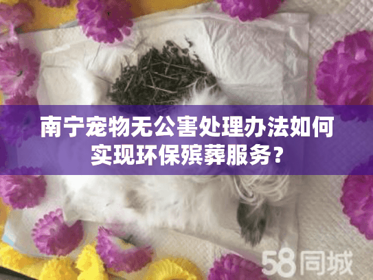南宁宠物无公害处理办法如何实现环保殡葬服务？