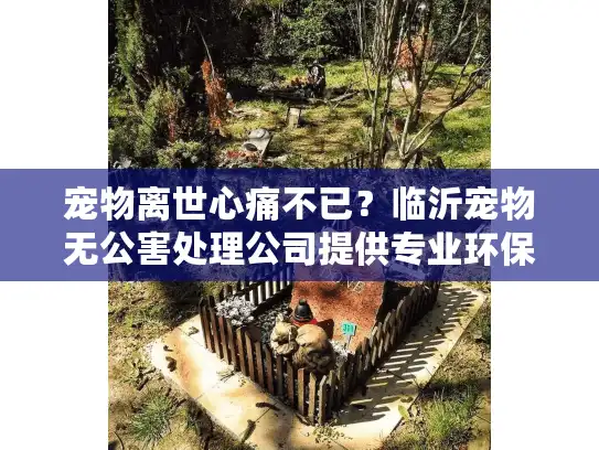 宠物离世心痛不已?临沂宠物无公害处理公司提供专业环保服务 宠物离世心痛不已?临沂宠物无公害处理公司提供专业环保服务
