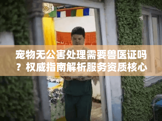 宠物无公害处理需要兽医证吗？权威指南解析服务资质核心