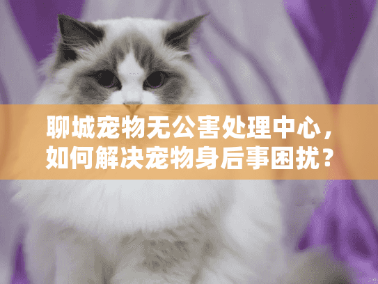 聊城宠物无公害处理中心，如何解决宠物身后事困扰？