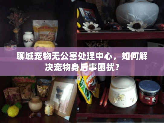 聊城宠物无公害处理中心，如何解决宠物身后事困扰？
