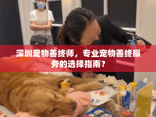 深圳宠物善终师,专业宠物善终服务的选择指南? 深圳宠物善终师,专业宠物善终服务的选择指南?