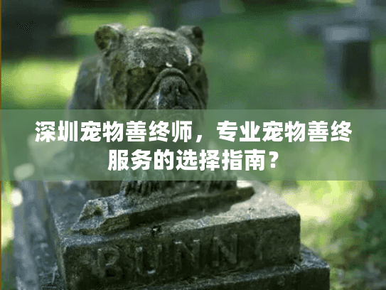 深圳宠物善终师,专业宠物善终服务的选择指南? 深圳宠物善终师,专业宠物善终服务的选择指南?