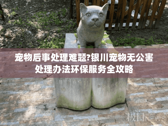 宠物后事处理难题?银川宠物无公害处理办法环保服务全攻略