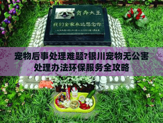 宠物后事处理难题?银川宠物无公害处理办法环保服务全攻略