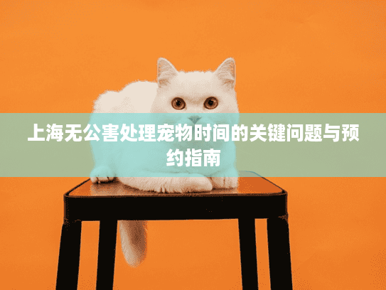 上海无公害处理宠物时间的关键问题与预约指南