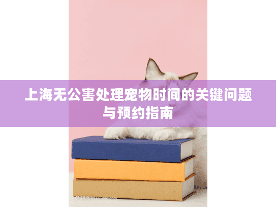 上海无公害处理宠物时间的关键问题与预约指南
