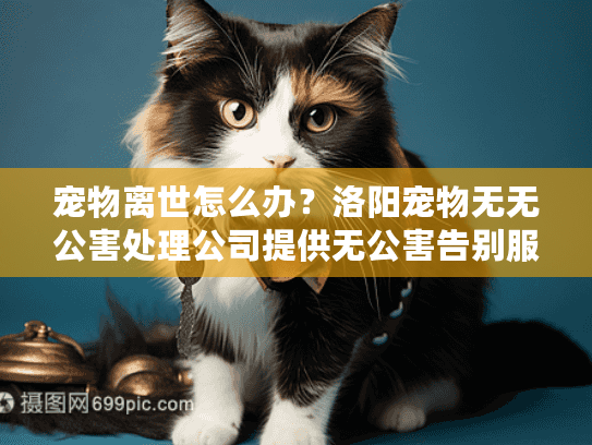 宠物离世怎么办？洛阳宠物无无公害处理公司提供无公害告别服务