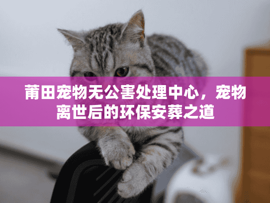 莆田宠物无公害处理中心，宠物离世后的环保安葬之道