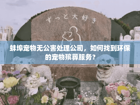 蚌埠宠物无公害处理公司,如何找到环保的宠物殡葬服务? 蚌埠宠物无公害处理公司,如何找到环保的宠物殡葬服务?