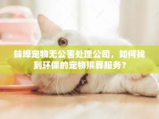 蚌埠宠物无公害处理公司,如何找到环保的宠物殡葬服务? 蚌埠宠物无公害处理公司,如何找到环保的宠物殡葬服务?