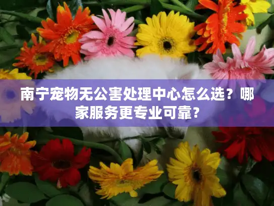 南宁宠物无公害处理中心怎么选？哪家服务更专业可靠？