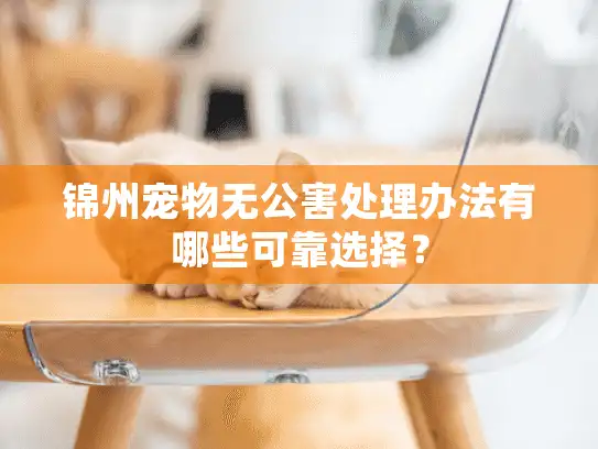锦州宠物无公害处理办法有哪些可靠选择? 锦州宠物无公害处理办法有哪些可靠选择?