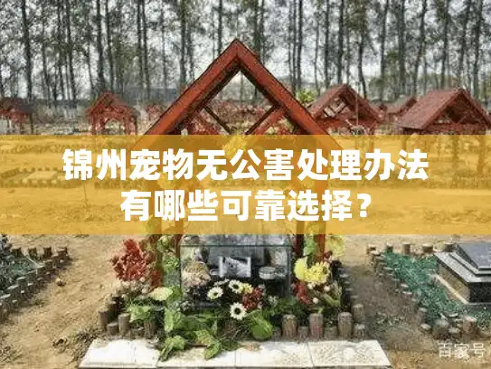 锦州宠物无公害处理办法有哪些可靠选择? 锦州宠物无公害处理办法有哪些可靠选择?